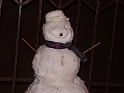 il pupazzo di neve 6 gennaio 2009 002
